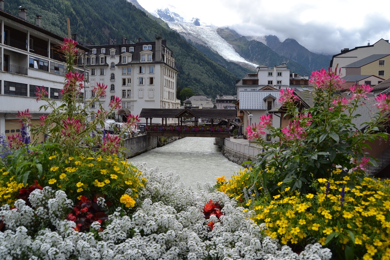 Chamonix, Gėlės, France, Sniegas, Rio, Serra, Ledynas, Kalnas, Atvirukas, Art Nouveau