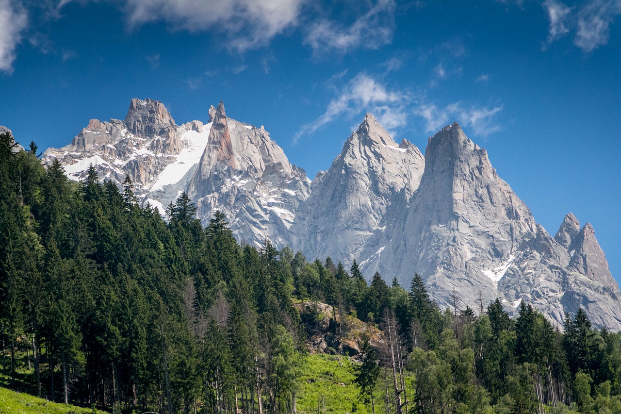Chamonix, Kalnas, Parkas, Alpės, France, Blanc, Gamta, Europa, Kraštovaizdis, Piko