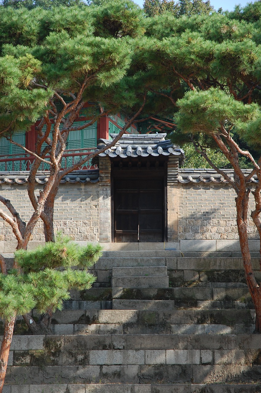 Changdeokgung, Rūmai, Sodas, Kraštovaizdis, Pietų Korėja, Pavasaris, Gamta, Seulas, Kelionė, Korėja