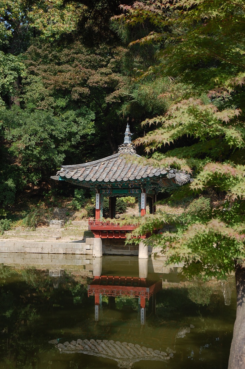Changdeokgung, Rūmai, Sodas, Kraštovaizdis, Pietų Korėja, Pavasaris, Gamta, Seulas, Kelionė, Korėja