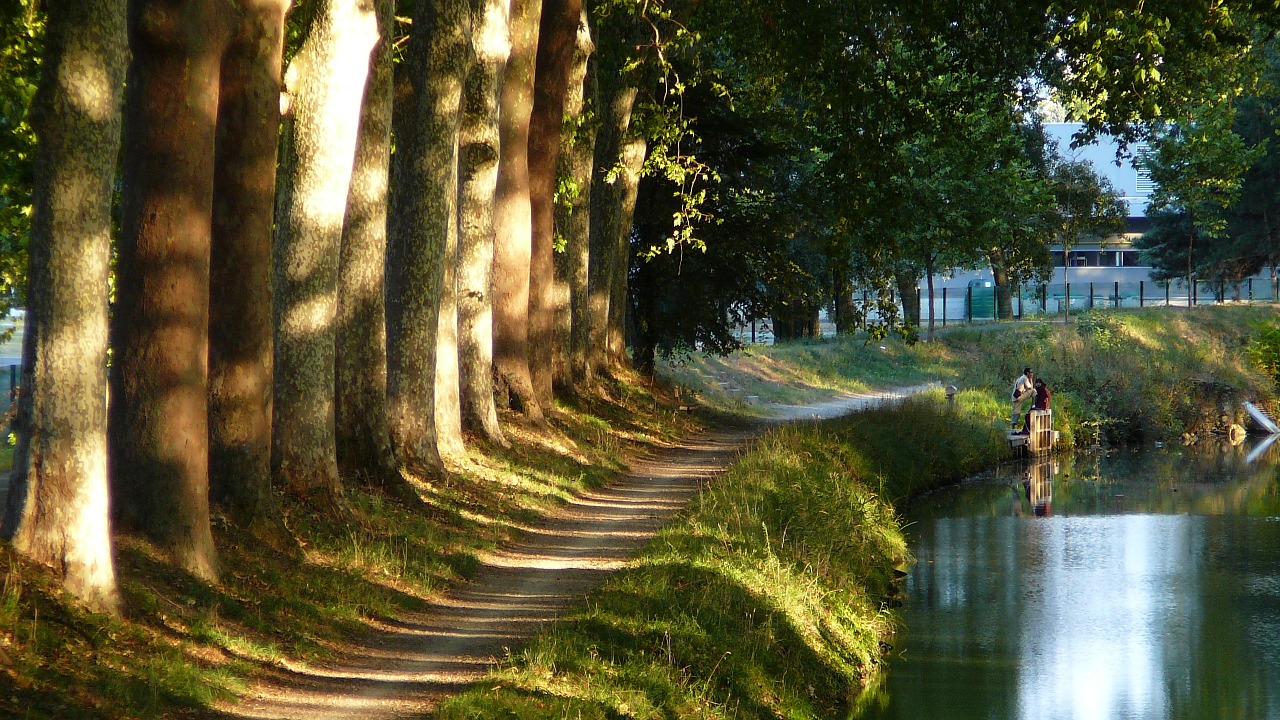 Kanalas, Medžiai, Takas, Toulouse, Nemokamos Nuotraukos,  Nemokama Licenzija