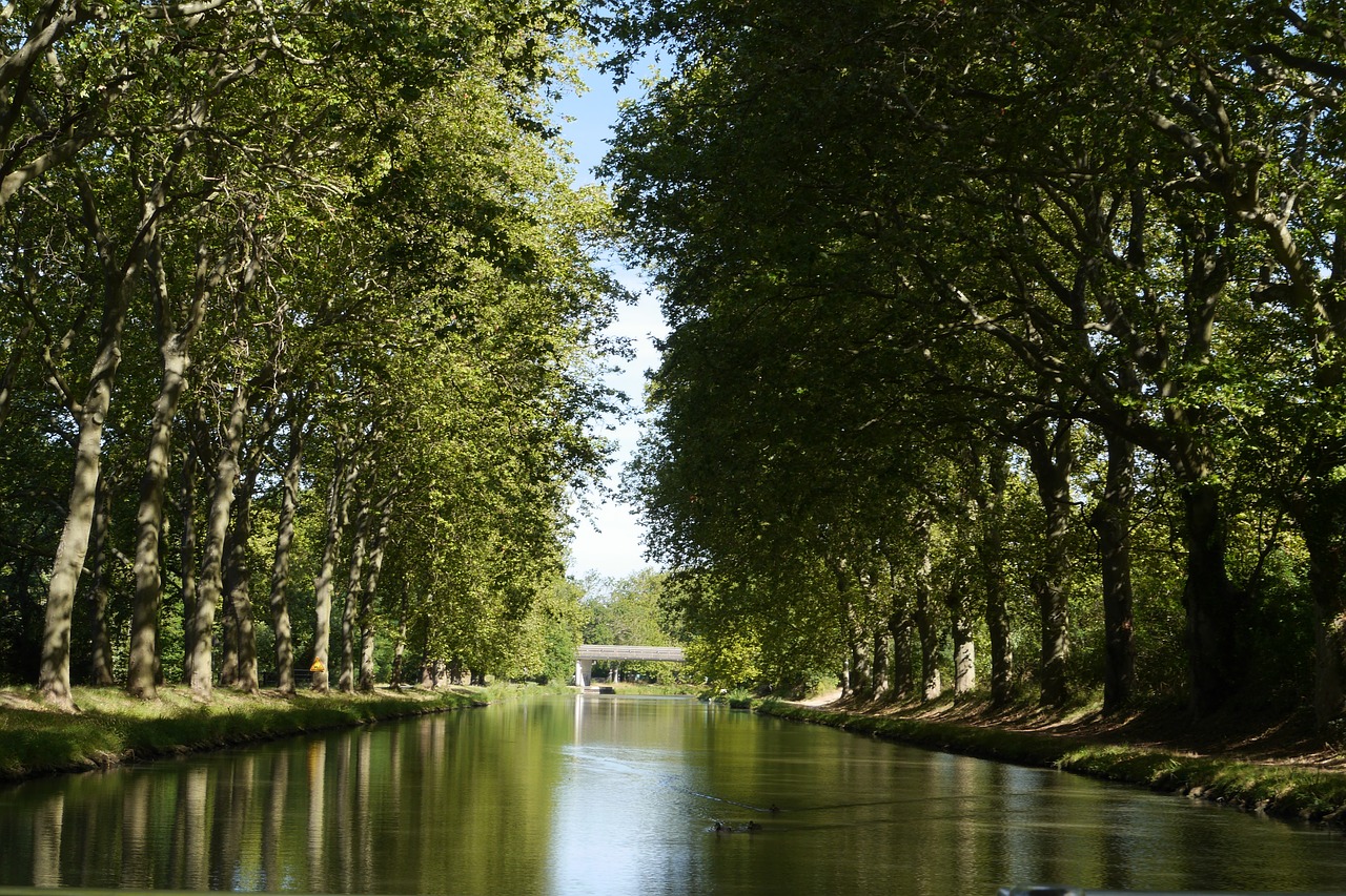 Kanalas, Vidurdienis, Į Pietus, Vanduo, Gamta, Kraštovaizdis, France, Vasara, Upė, Provence