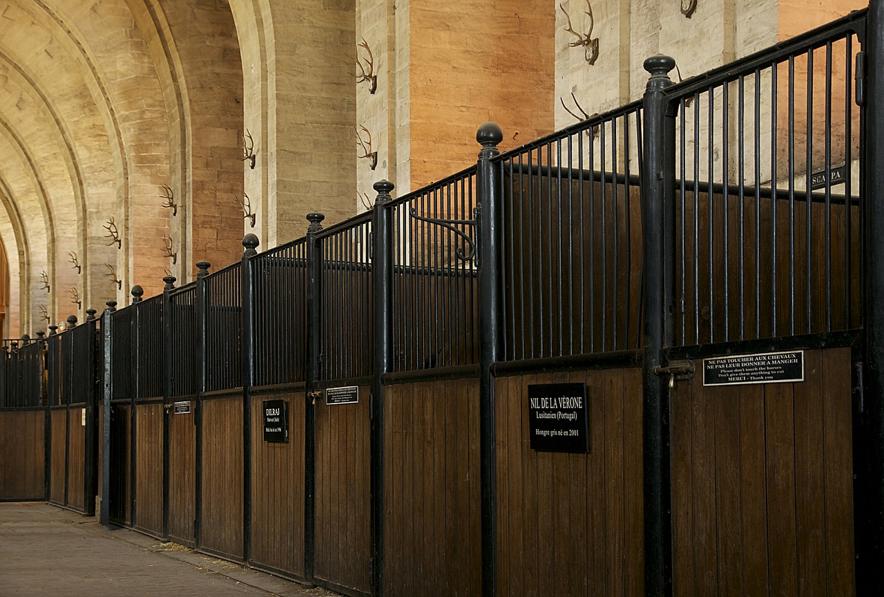 Chantilly, France, Stabilus, Stovyklos, Arklys, Struktūra, Pastatas, Architektūra, Miestas, Miestai