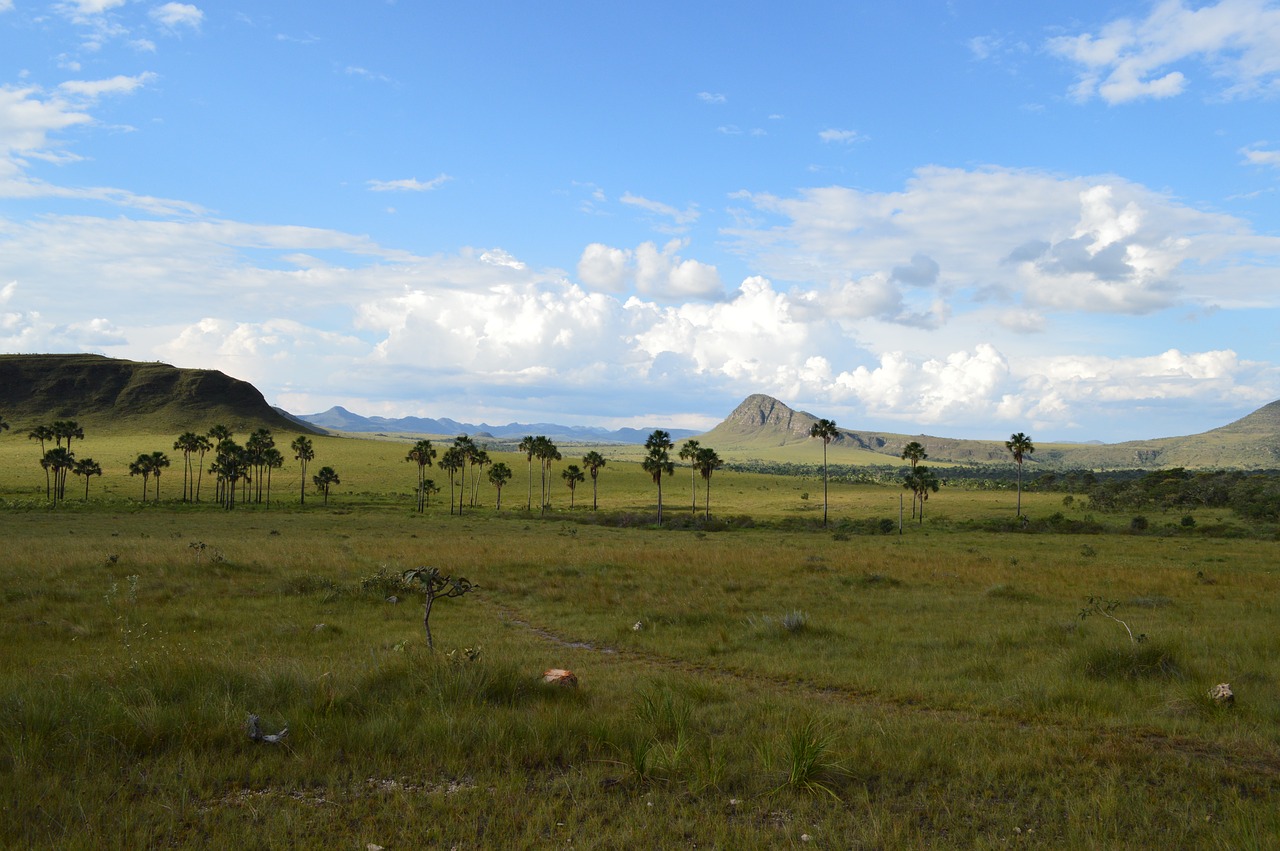 Chapada Dos Veadeiros,  Brazilija,  Goiás,  Nacionalinis Parkas,  Sodas Maitrėjos,  Vista,  Kraštovaizdis,  Nacionalinis Paveldas,  Apsauga,  Kelionė