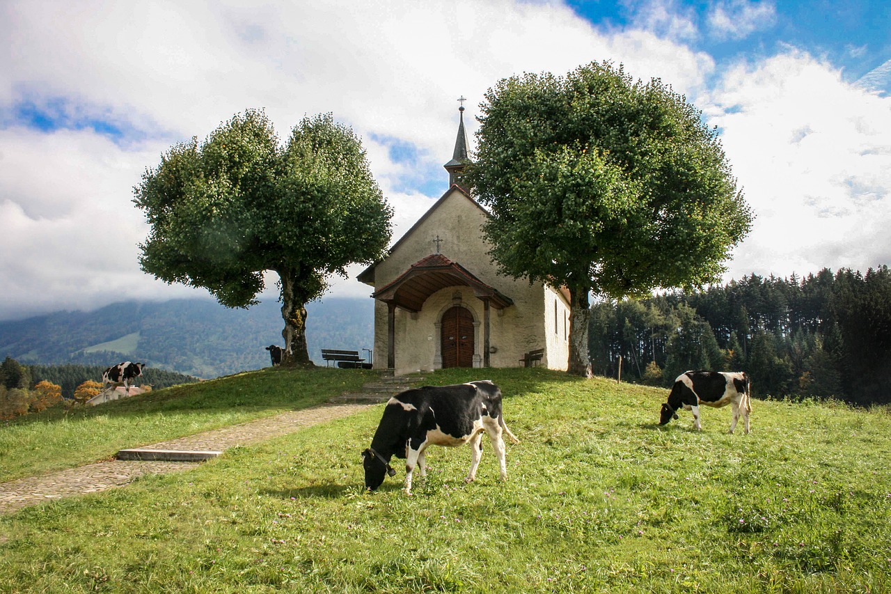 Koplyčia, Medžiai, Kraštovaizdis, Karvė, Nemokamos Nuotraukos,  Nemokama Licenzija