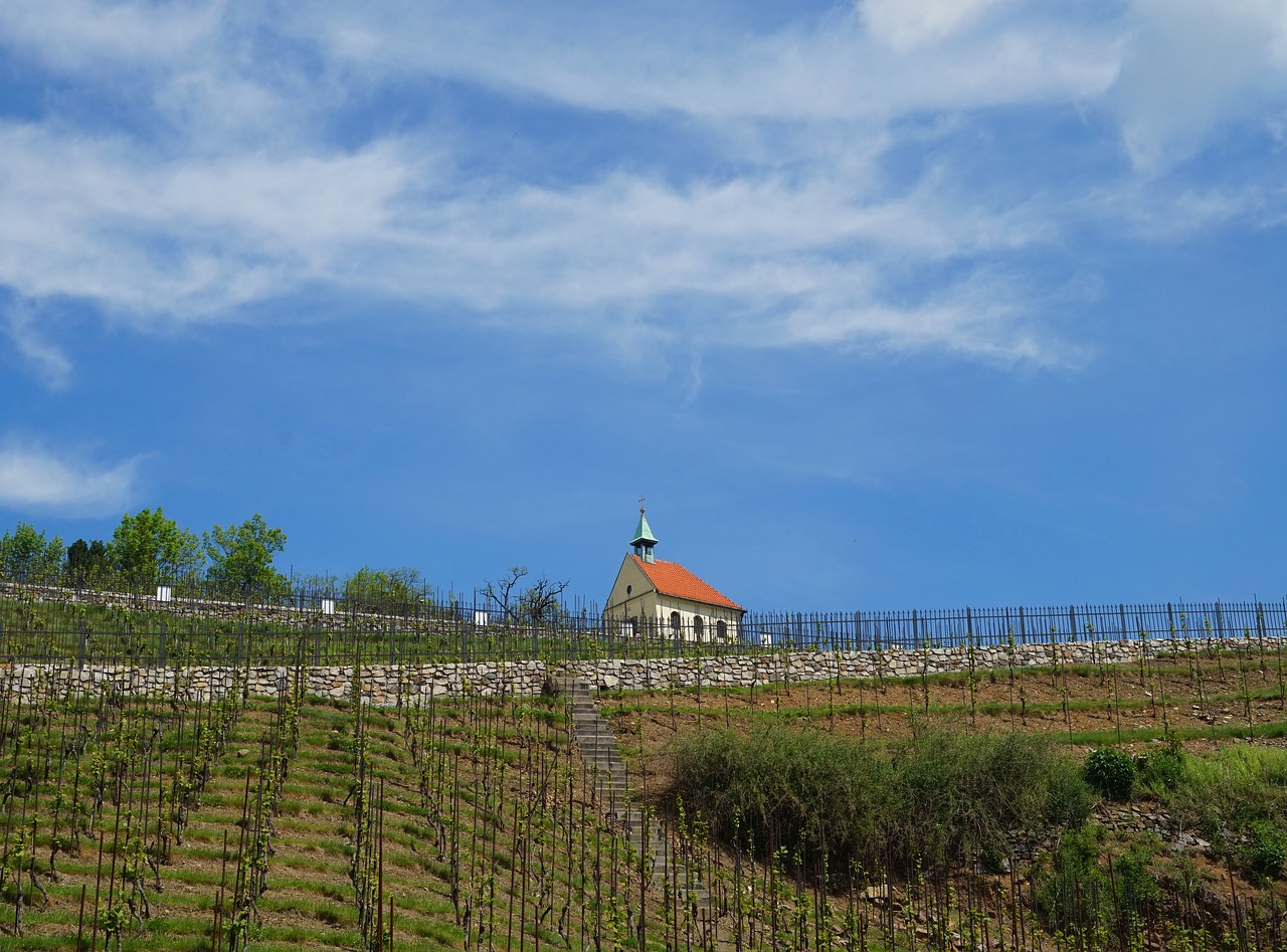 Koplyčia,  Vynuogynas,  Praha,  Čekija,  Dangus,  Laukas,  Bažnyčia,  Medis,  Žalias, Nemokamos Nuotraukos