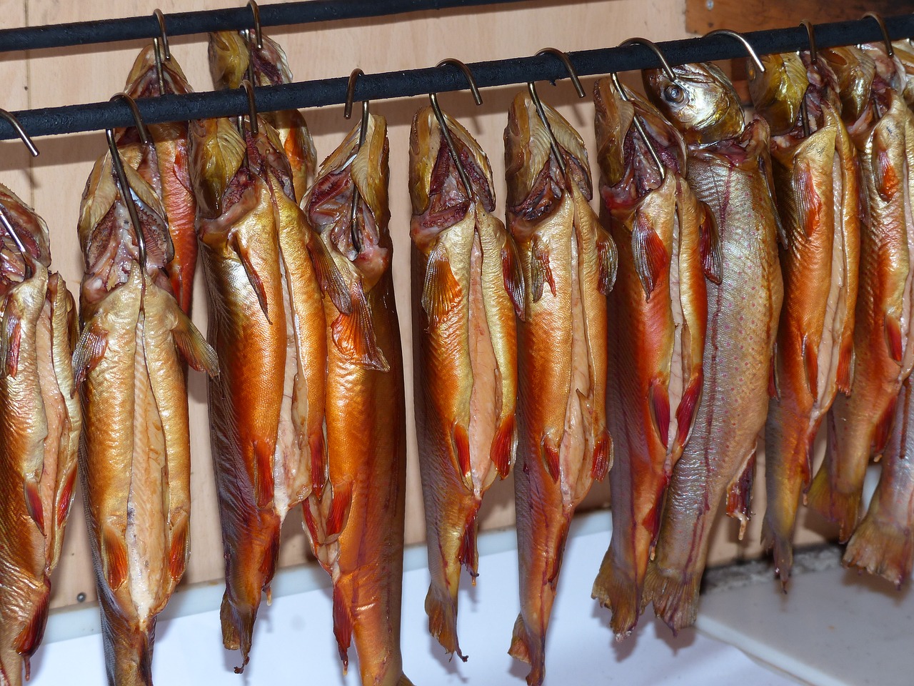 Char, Fischraeucherei, Žuvis, Rūkyta, Rūkyta Žuvis, Nemokamos Nuotraukos,  Nemokama Licenzija