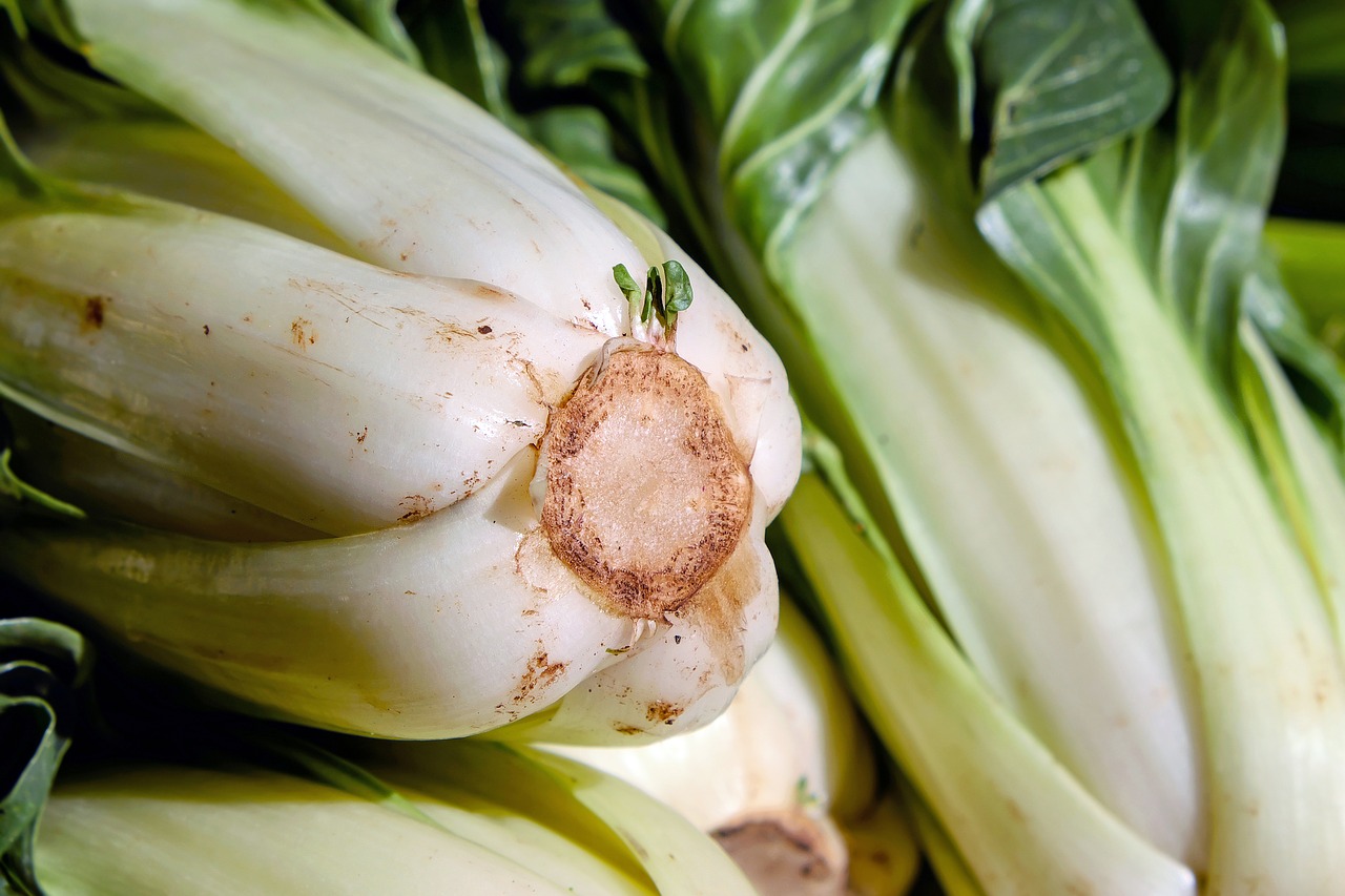 Paprastieji, Beta Vulgaris, Žolelių Stiebas, Daržovės, Žalias, Daržovių Augalas, Stiebas, Lapai, Augalas, Sveikas