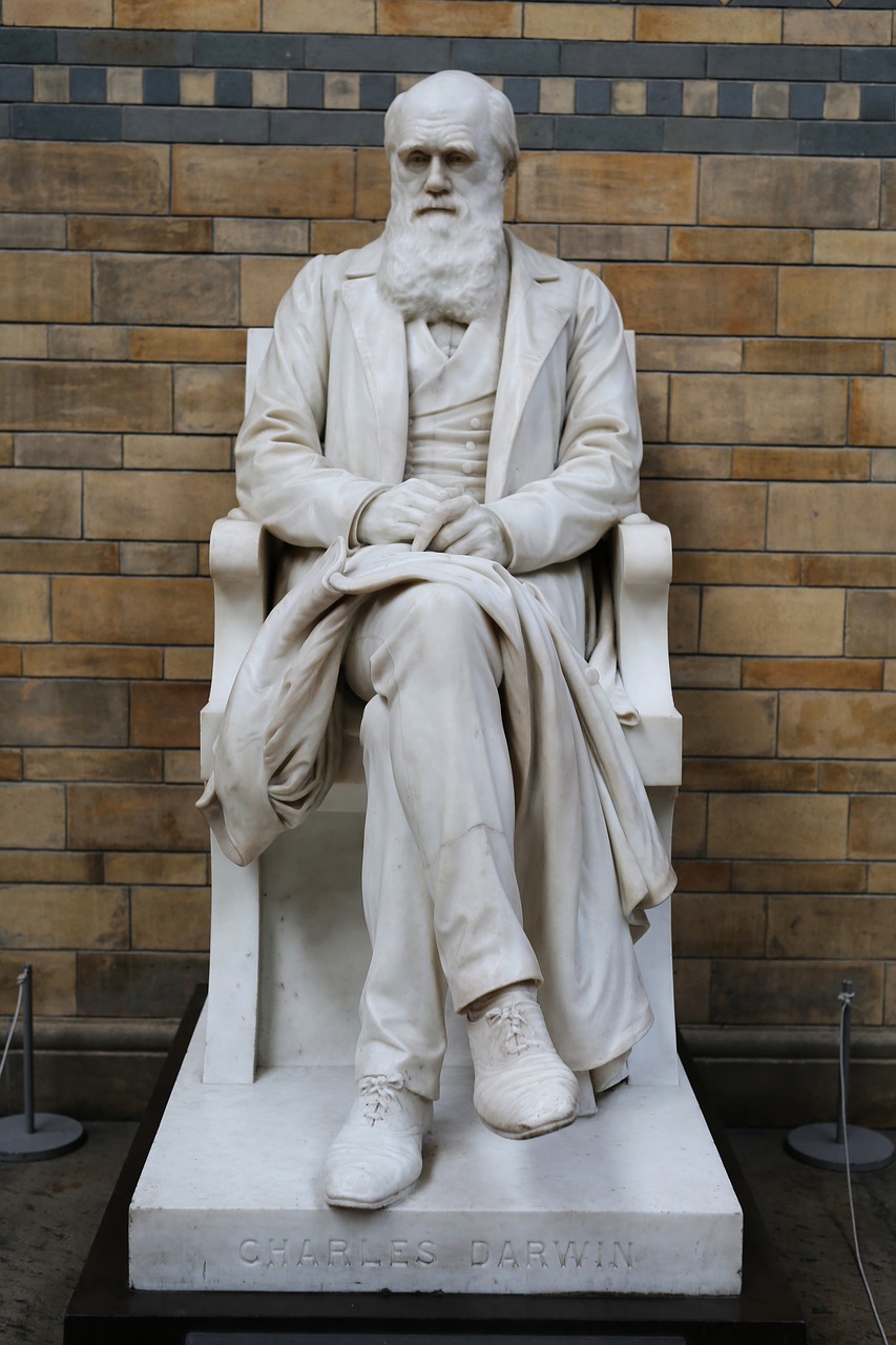 Charles Darwin, Muziejus, Londonas, Naturalus Istorijos Muziejus, Gamtos Istorijos Muziejus, Charles, Darvilas, Nemokamos Nuotraukos,  Nemokama Licenzija