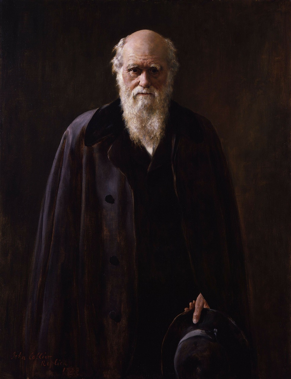 Charles Robert Darwin, Darvinismas, Evoliucijos Teorija, Dažymas, 1883, Nemokamos Nuotraukos,  Nemokama Licenzija