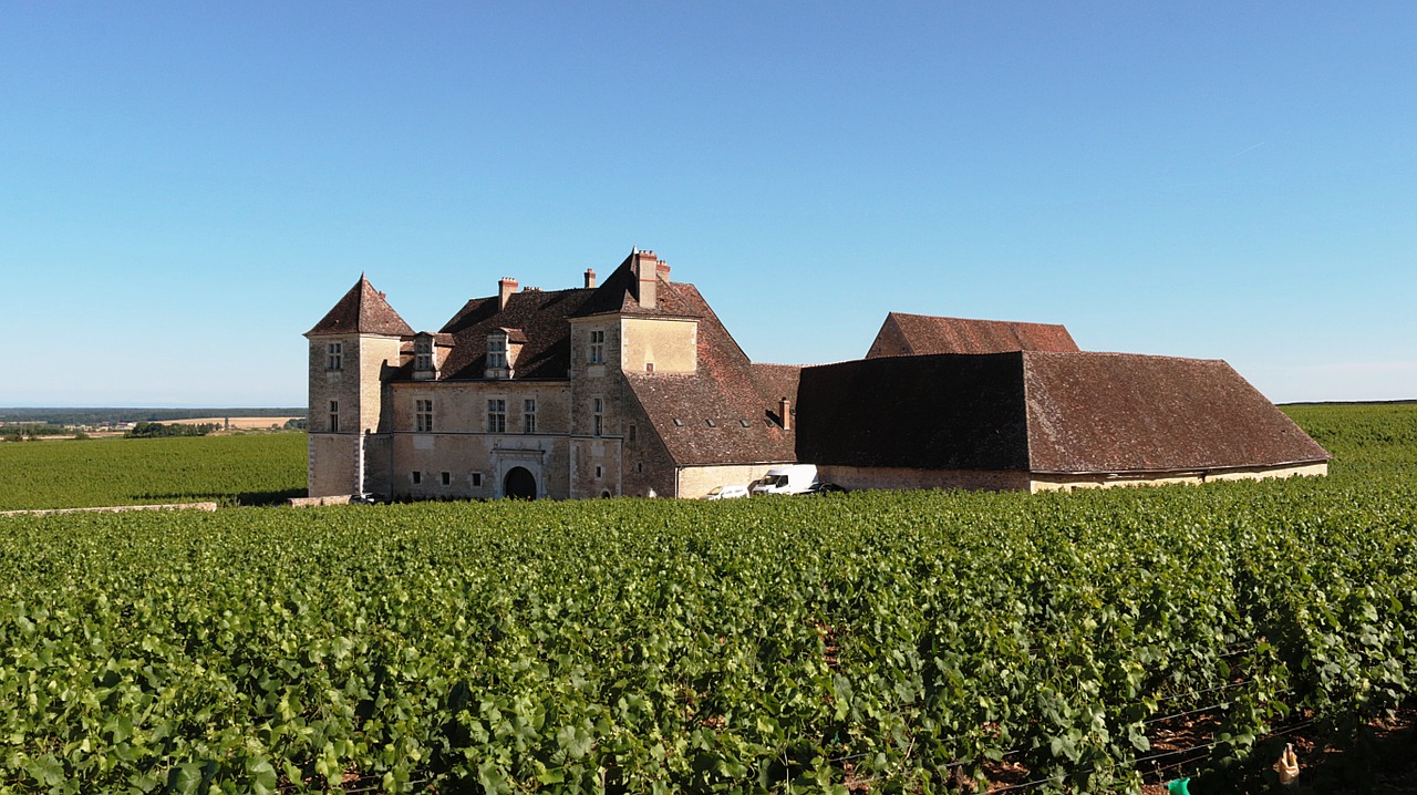 Château De Clos De Vougeot, Burgundija, France, Mėlynas, Dangus, Pilis, Vynas, Gerti, Didysis Kryžius, Puikūs Vynai