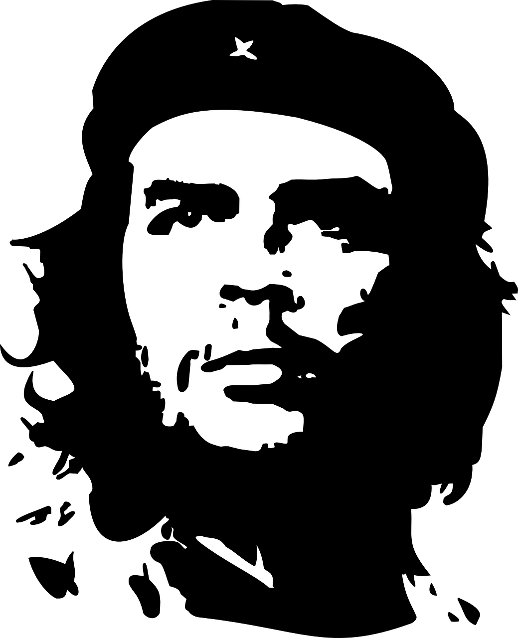 Che, Guevara, Argentine, Komunizmas, Revoliucinis, Ernesto, Gydytojas, Autorius, Partizanų Lyderis, Politinis