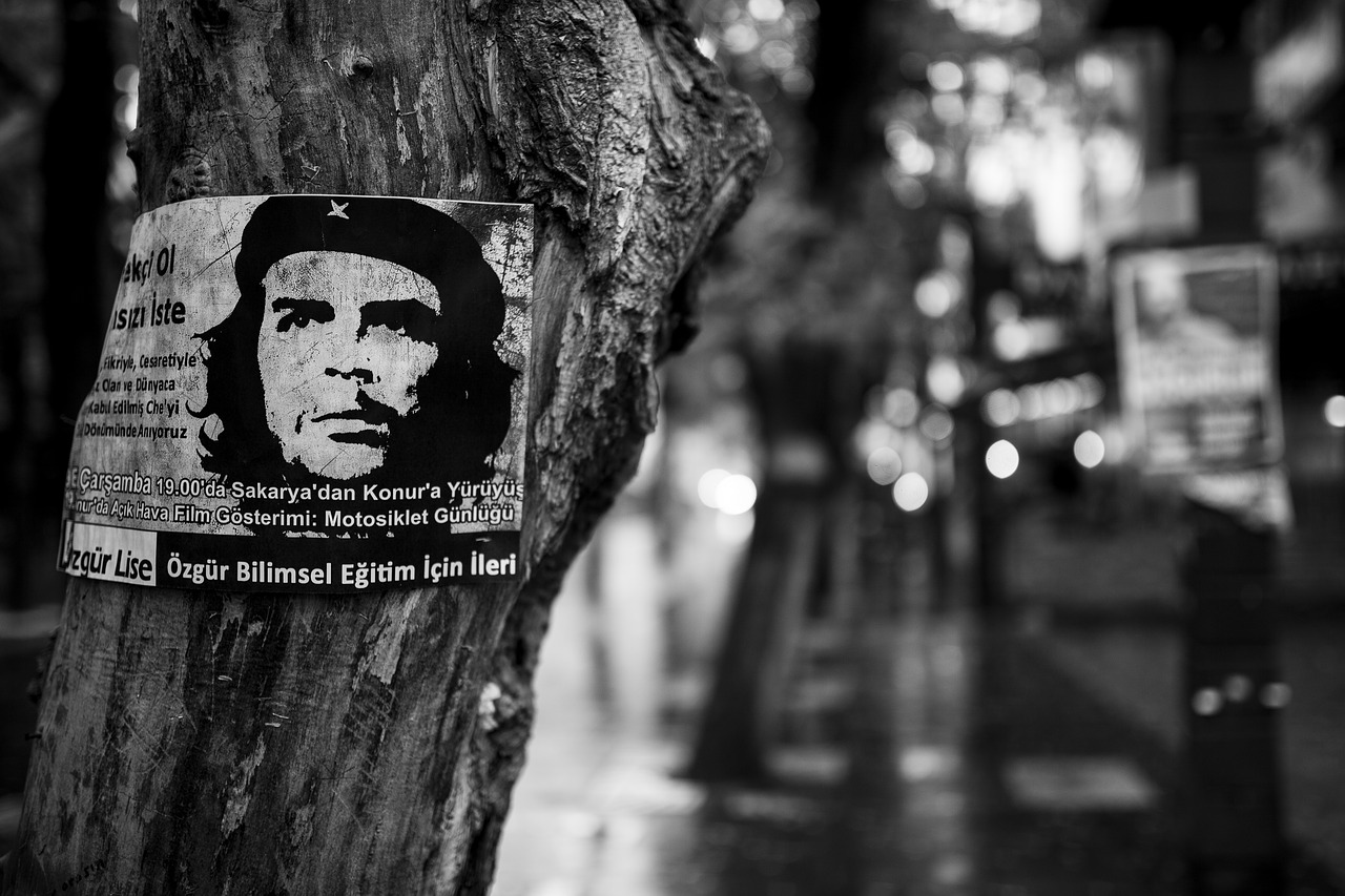 Che Guevara, Medis, Plakatas, Revoliucija, Kairėje, Laisvė, Pasipriešinimas, Patinas, Vyras, Juoda Ir Balta