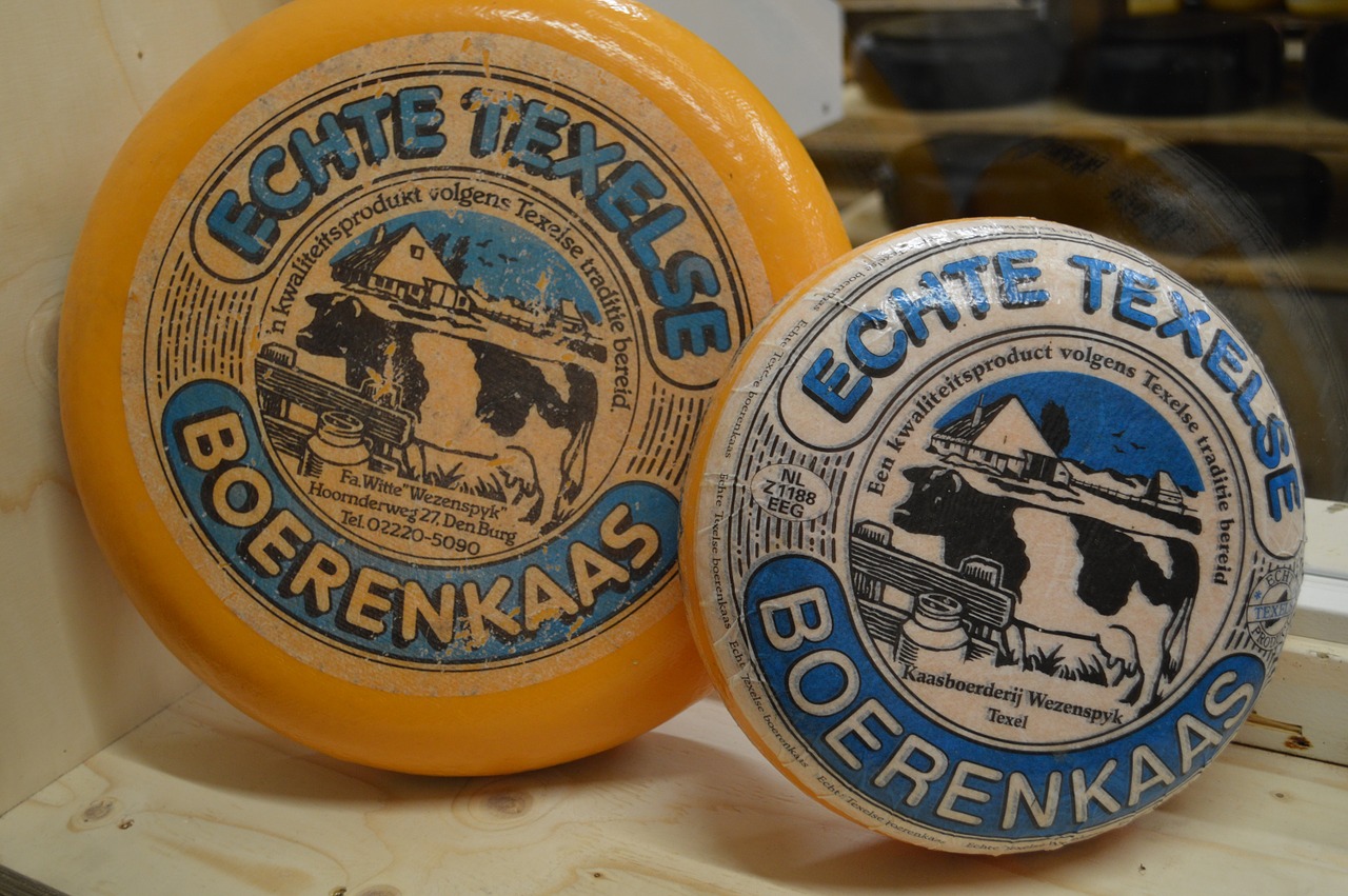 Sūris, Texel, Nyderlandai, Vakarų Fryzų, Ūkininkas, Ūkis, Žolė, Karvė, Maistas, Nemokamos Nuotraukos