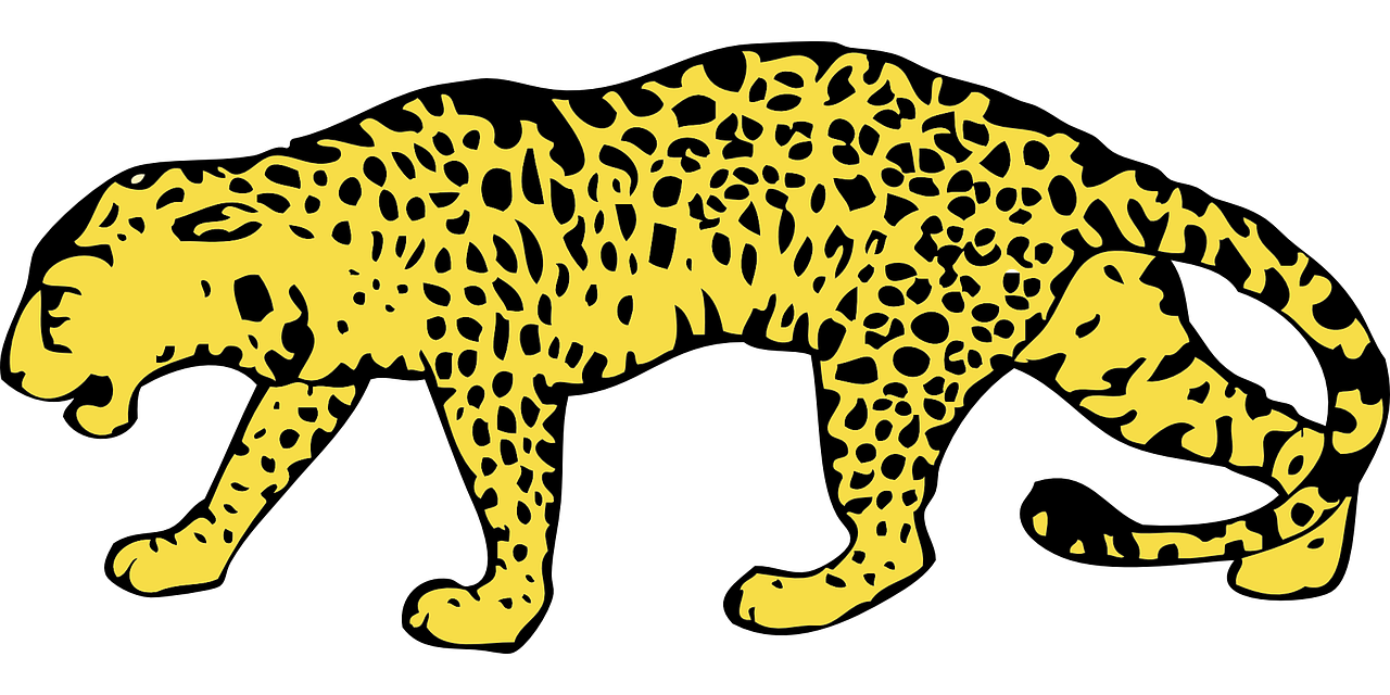 Gepardas, Medžioklė-Leopardas, Leopardas, Katė, Laukiniai, Pavargęs, Geltona, Dėmės, Uodega, Vaikščioti