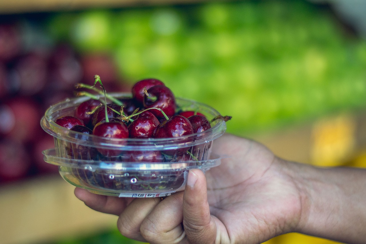 Vyšnios, Vyšnia, Vaisiai, Vaisių Stovykla, Ekologiški Maisto Produktai, Nemokamos Nuotraukos,  Nemokama Licenzija