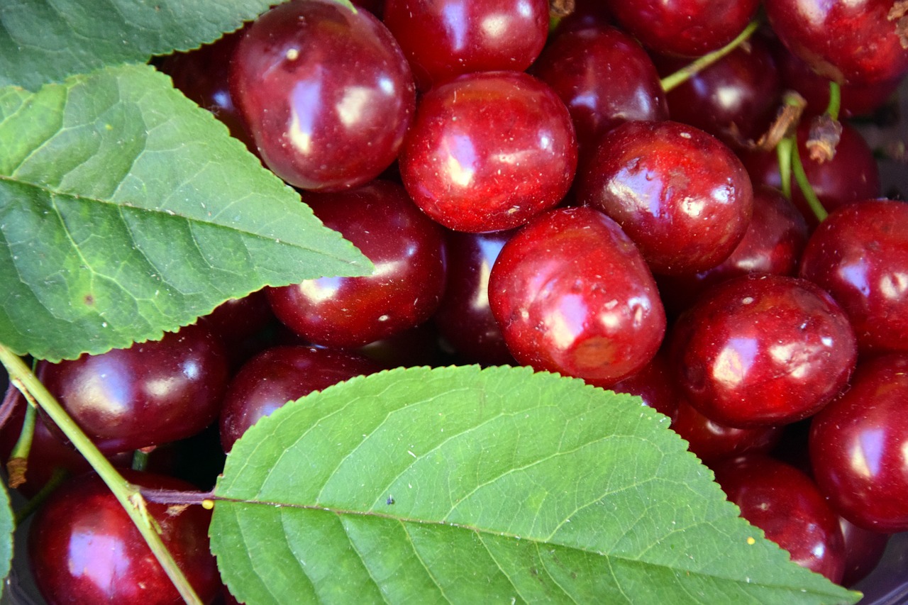 Vyšnios,  Vaisių,  Vasara,  Raudona,  Maisto,  Pobūdį,  Raudoni Vaisiai,  Pasveikinti,  Vaisiai,  Maisto Produktai