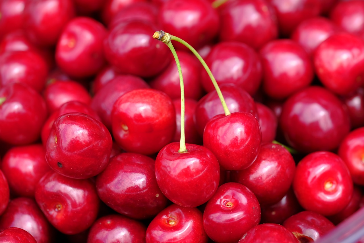 Vyšnia,  Trešnės,  Ieva,  Prunus Avium,  Stiebas,  Prijungtas,  Derina,  Vaisių,  Kaulavaisiai,  Obuolių Šeimos Vaisiai