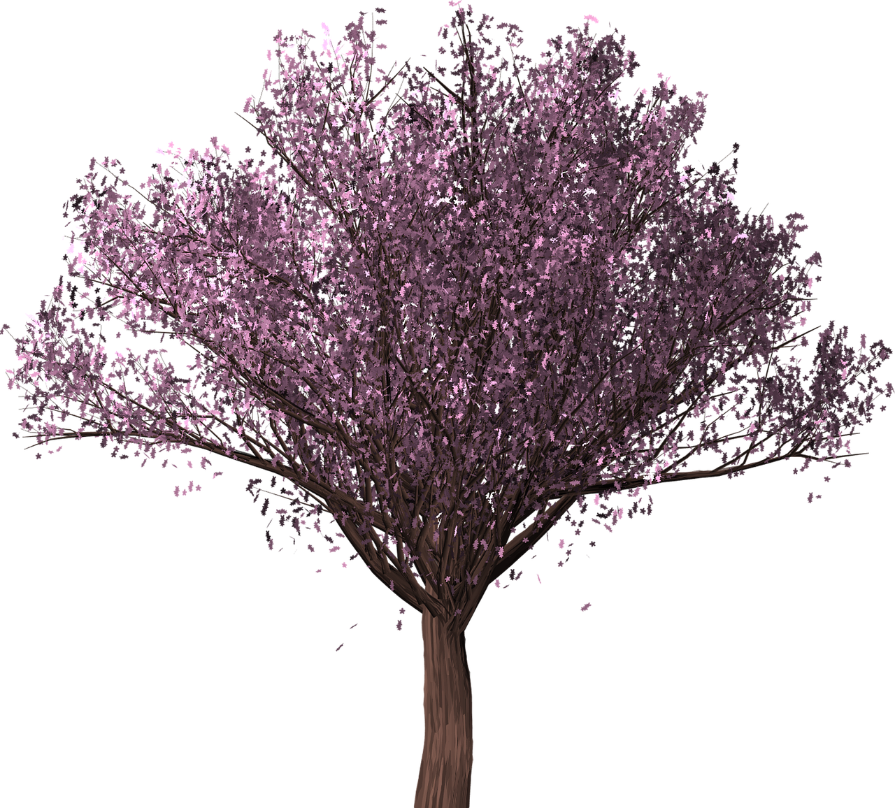 Cherry Blossom Medžio,  Sakura,  Vyšnių Žiedas,  Medis,  Užrašų Knygelė,  Žiedas,  Rožinis,  Vyšnia,  Žydi,  Japonija