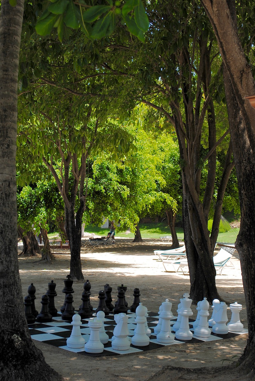Šachmatai, Žaidimas, Papludimys, Pramogos, Laisvalaikis, Medžiai, Žalias, Žaisti, Šachmatų Figūros, Lauke