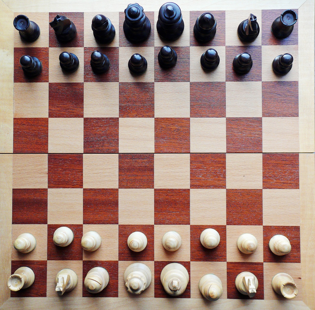 Šachmatai, Šachmatų Lenta, Šachmatų Figūros, Patikrinta, Šachmatų Žaidimas, Juoda, Žaisti, Karalių Žaidimas, Žaidėjai, Springeris