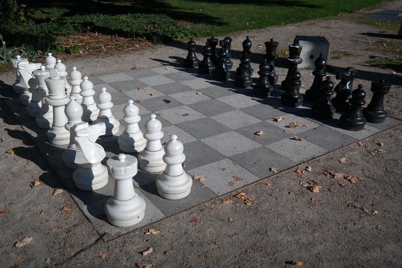 Šachmatai, Šachmatų Lenta, Šachmatų Figūros, Juoda, Balta, Šachmatų Žaidimas, Žaisti, Skaičiai, Lady, Karalius
