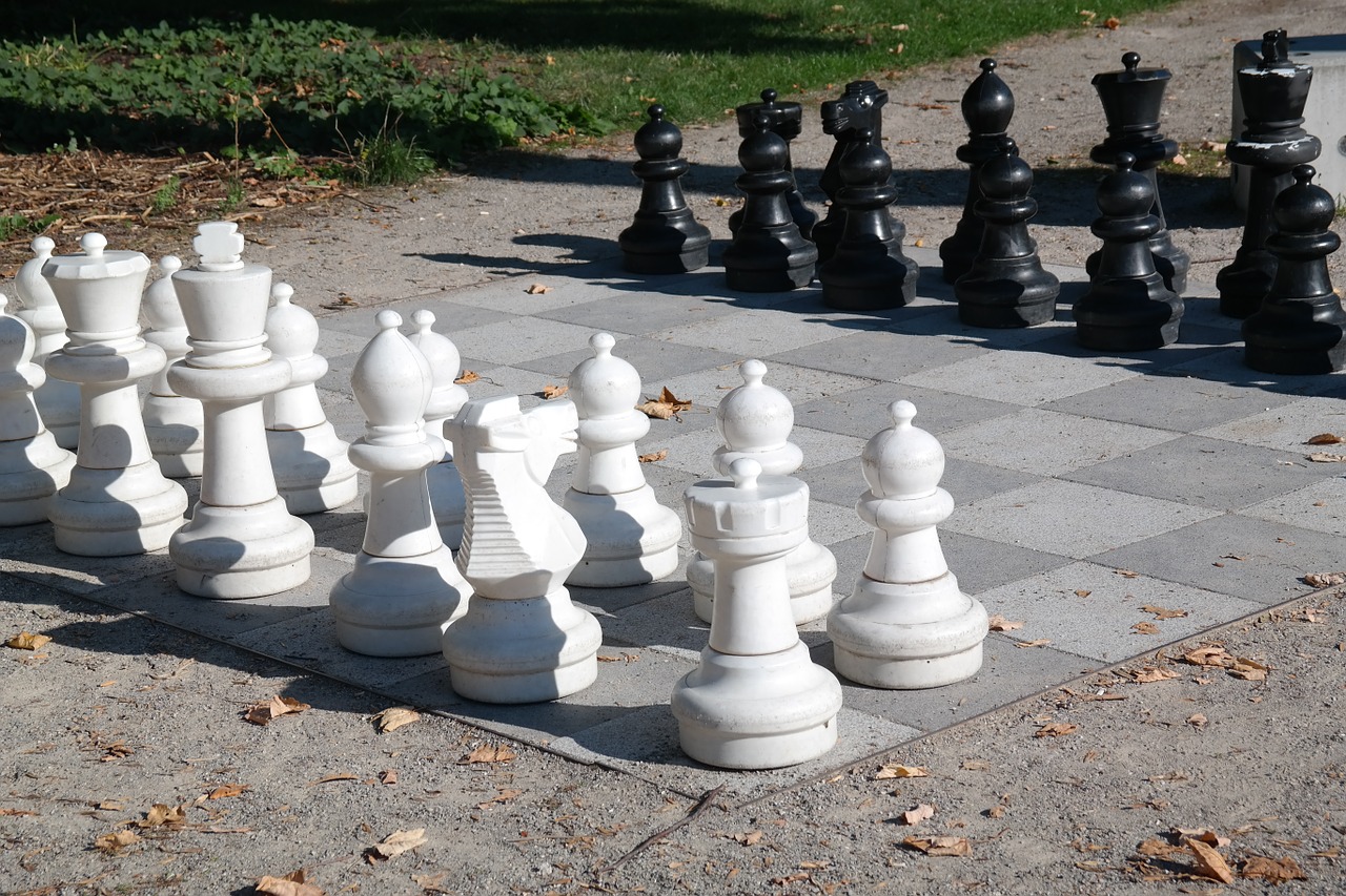 Šachmatai, Šachmatų Lenta, Šachmatų Figūros, Juoda, Balta, Šachmatų Žaidimas, Žaisti, Skaičiai, Lady, Karalius