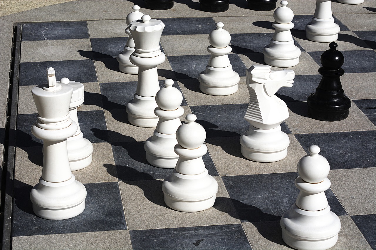 Šachmatai, Karalius, Balta, Lenta, Vienetai, Žaisti, Žaidimas, Strateginis, Pėstininkas, Riteris