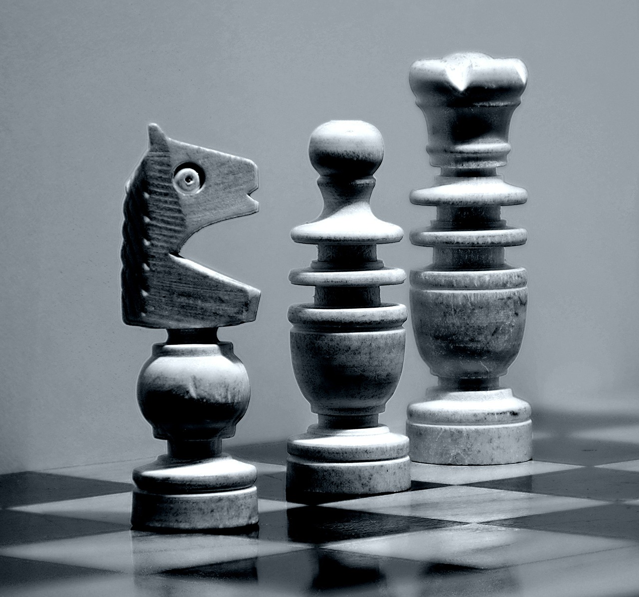 Šachmatai, Šachmatų Lenta, Šachmatų Figūros, Skaičiai, Springeris, Karalius, Lady, Šachmatų Žaidimas, Strategija, Juoda Balta
