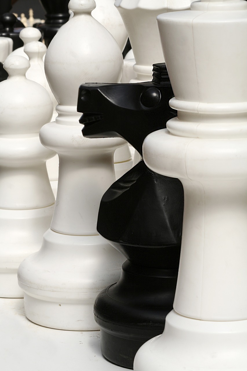 Šachmatai, Vienetai, Žaidimas, Lenta, Mąstymas, Žaisti, Judėti, Planavimas, Varzybos, Žvalgyba
