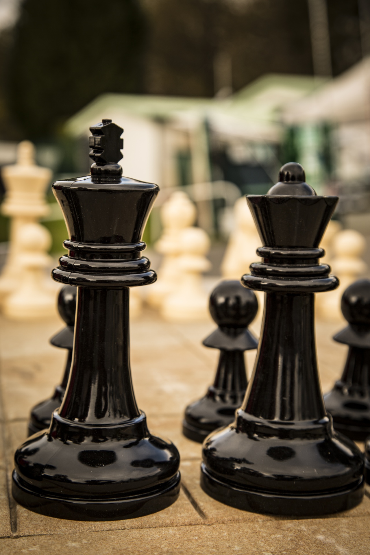 Šachmatai,  Žaidimas,  Žaidimai,  Pergalė,  Atkreipti,  Strategija,  Judėti,  Arklys,  Šachmatų Lenta,  Karalius