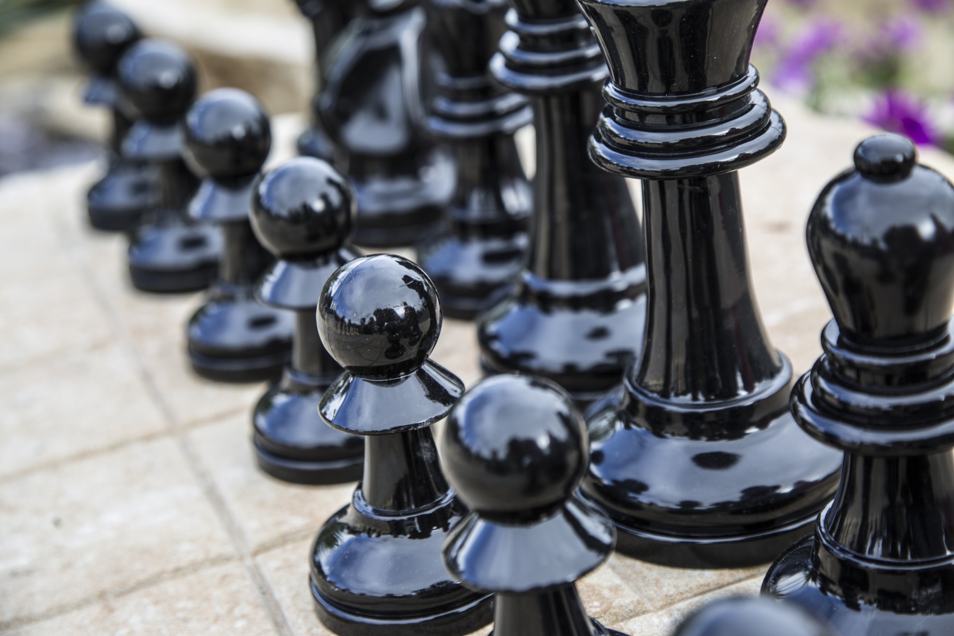 Šachmatai,  Žaidimas,  Žaidimai,  Pergalė,  Atkreipti,  Strategija,  Judėti,  Arklys,  Šachmatų Lenta,  Karalius