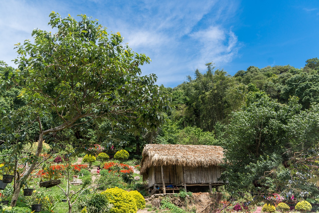 Chiang Mai, Tailandas, Asija, Sodas, Gėlės, Tribal, Muziejus, Kelionė, Religija, Gamta