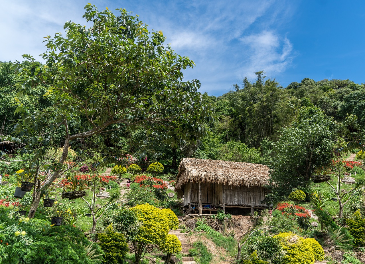 Chiang Mai, Tailandas, Žolės Namelis, Architektūra, Gamta, Vasara, Dangus, Debesys, Kelionė, Kraštovaizdis