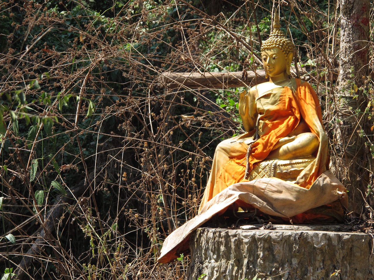 Chiang Mai, Ganesha, Tailandas, Ganeša, Budizmo Šventykla, Wat Pha Lat, Nemokamos Nuotraukos,  Nemokama Licenzija