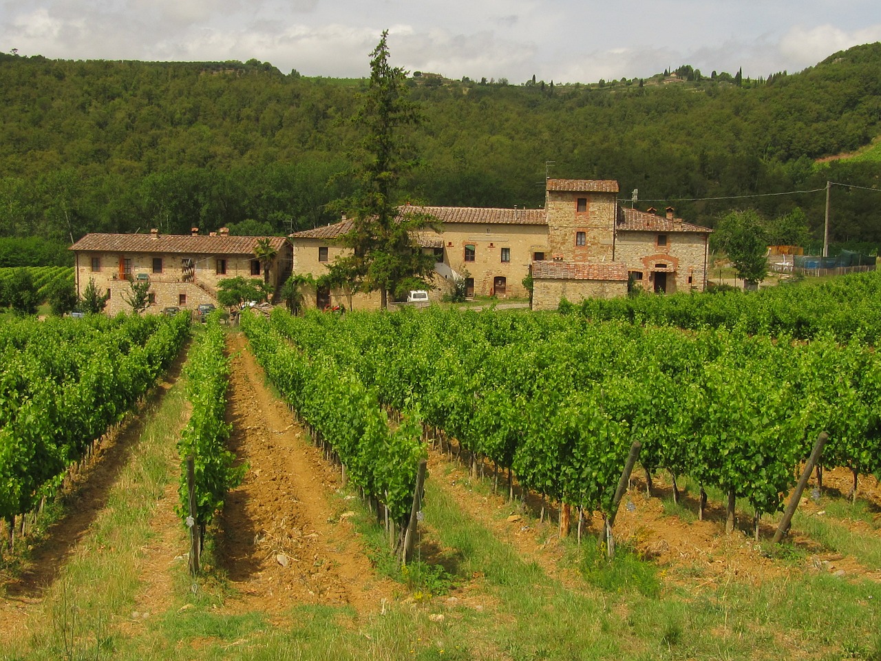 Chianti Kalnai, Toskana, Vynas, Kraštovaizdis, Vynuogynas, Vynuogių Auginimas, Vynuogynai, Nemokamos Nuotraukos,  Nemokama Licenzija