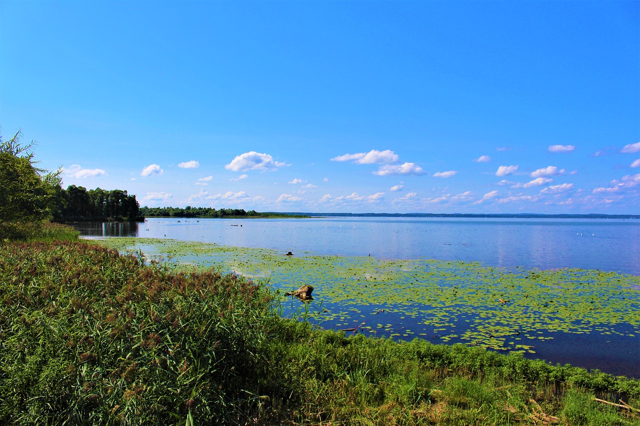 Chiemsee,  Gamtos Rezervatas,  Vaizdas, Nemokamos Nuotraukos,  Nemokama Licenzija