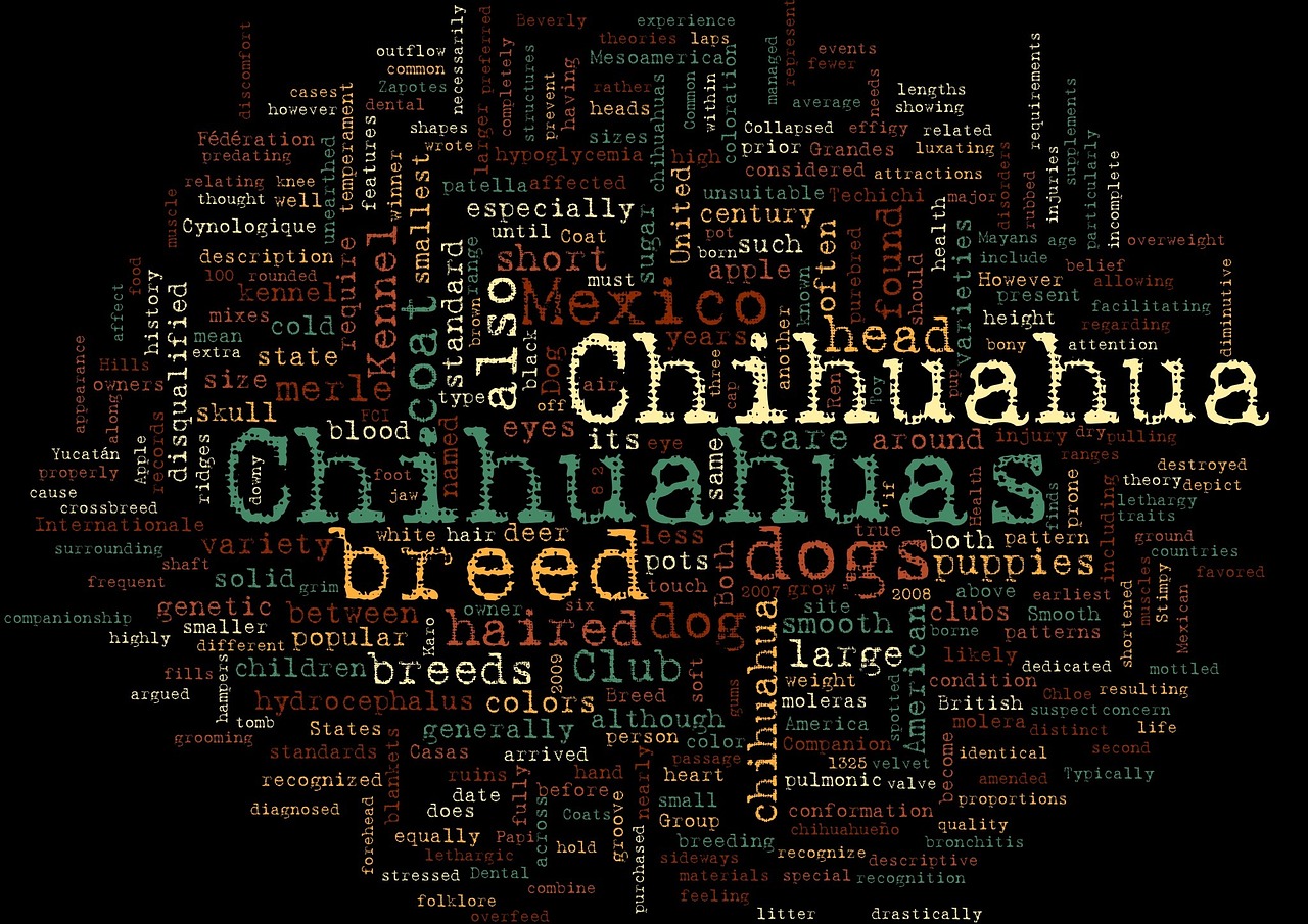 Chihuahuas, Naminis Gyvūnėlis, Žodis Debesis, Šunų Veislė, Nemokamos Nuotraukos,  Nemokama Licenzija