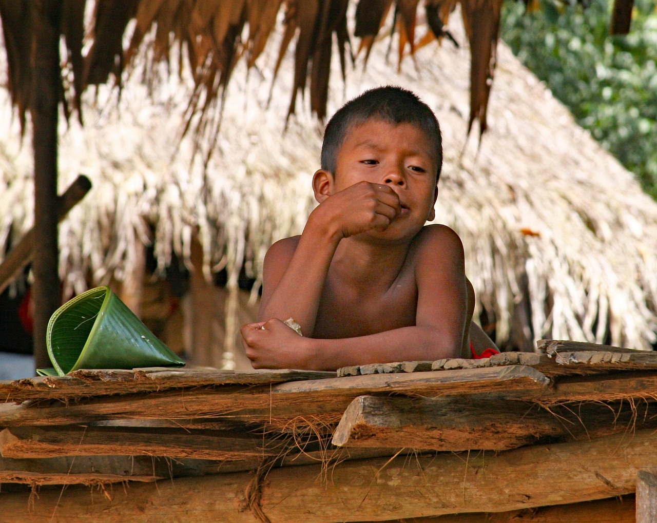 Vaikas, Panama, Panamos Kanalas, Berniukas, Embara Indian, Nemokamos Nuotraukos,  Nemokama Licenzija