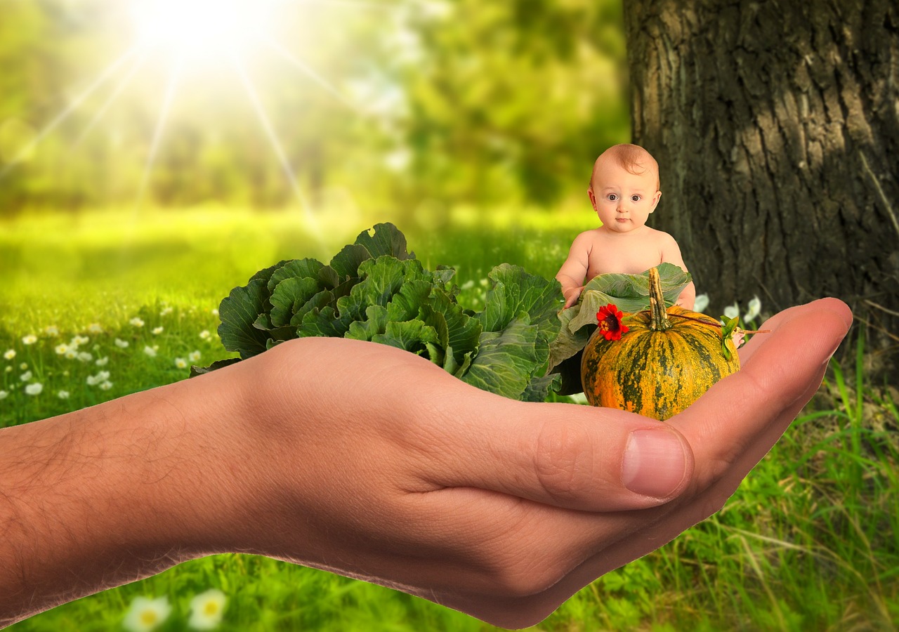 Vaikas, Kūdikis, Daržovės, Vaisiai, Sveikas, Gamta, Mityba, Maistas, Vitaminai, Nemokamos Nuotraukos