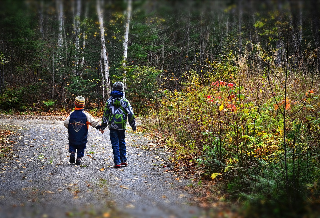 Vaikai, Promenada, Rudens Kraštovaizdis, Gamta, Kritimas, Spalvos, Lapai, Spalvinga, Mediena, Québec