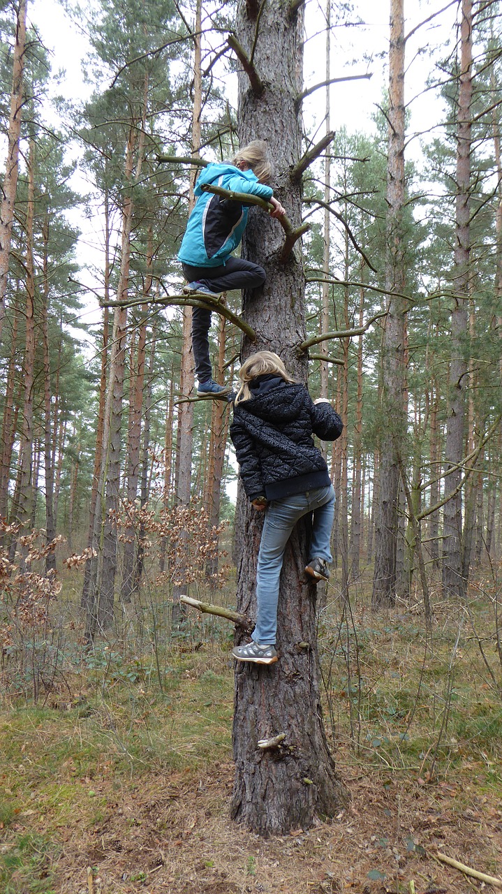 Vaikai,  Lipti,  Miškas,  Žaisti,  Laisvalaikis,  Gamta,  Alpinizmas,  Linksma,  Laisvė,  Atsigavimas