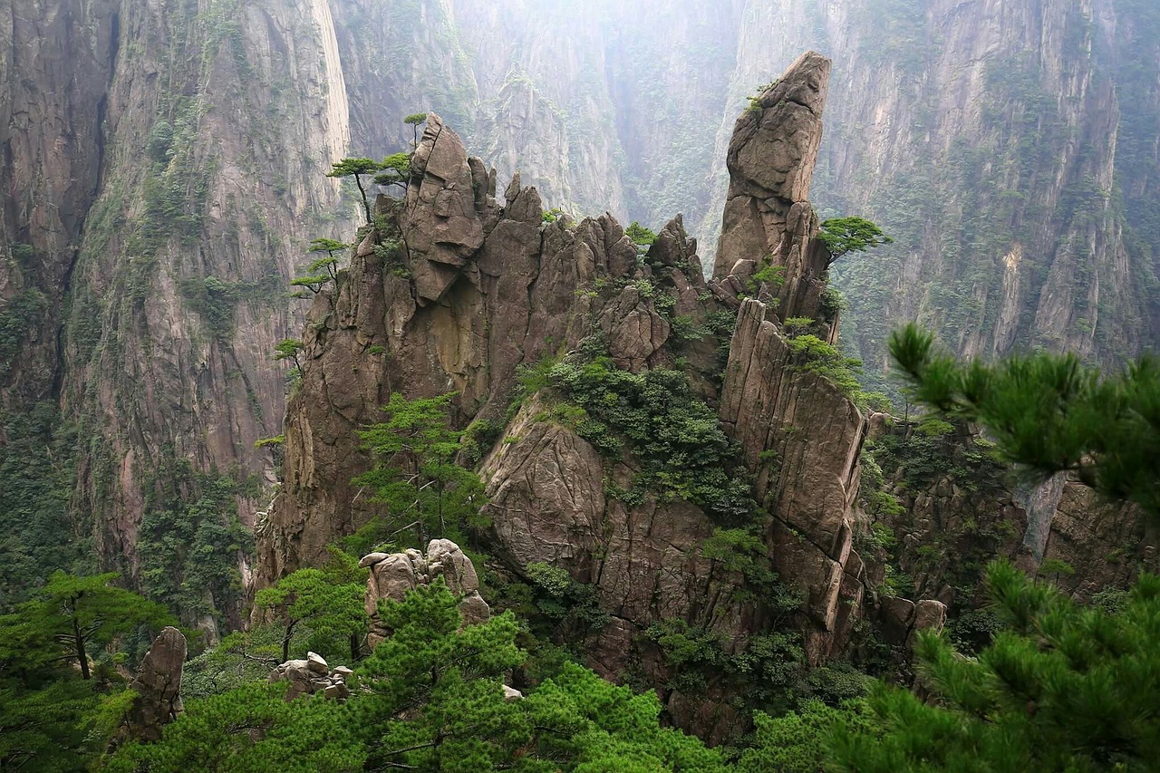 Kinija, Huangshanas, Kiparisas, Jun Rock, Medžiai, Nemokamos Nuotraukos,  Nemokama Licenzija