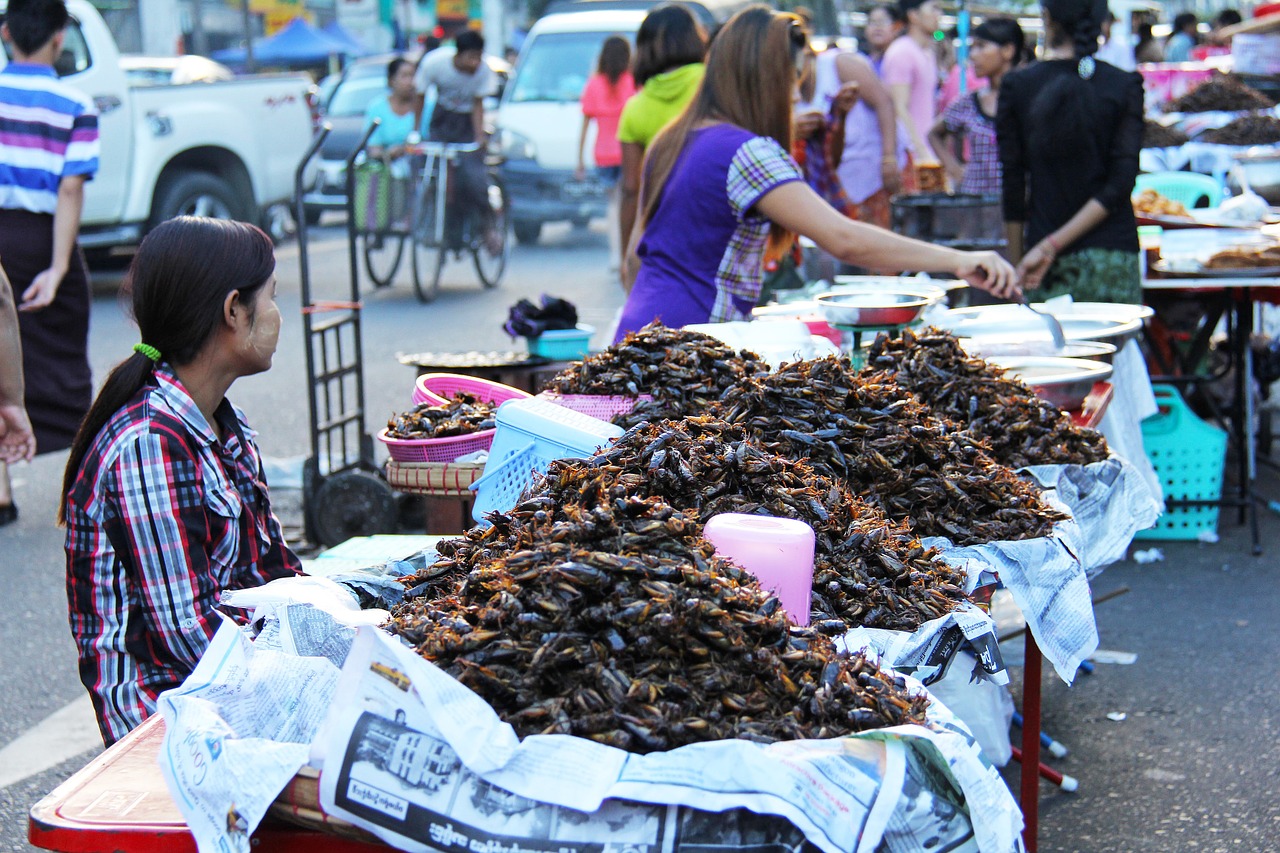 Chinatown, Parduoti, Keptas, Tarakonai, Audringas, Užsiėmes, Gatvė, Turgus, Perkrautas, Burmese