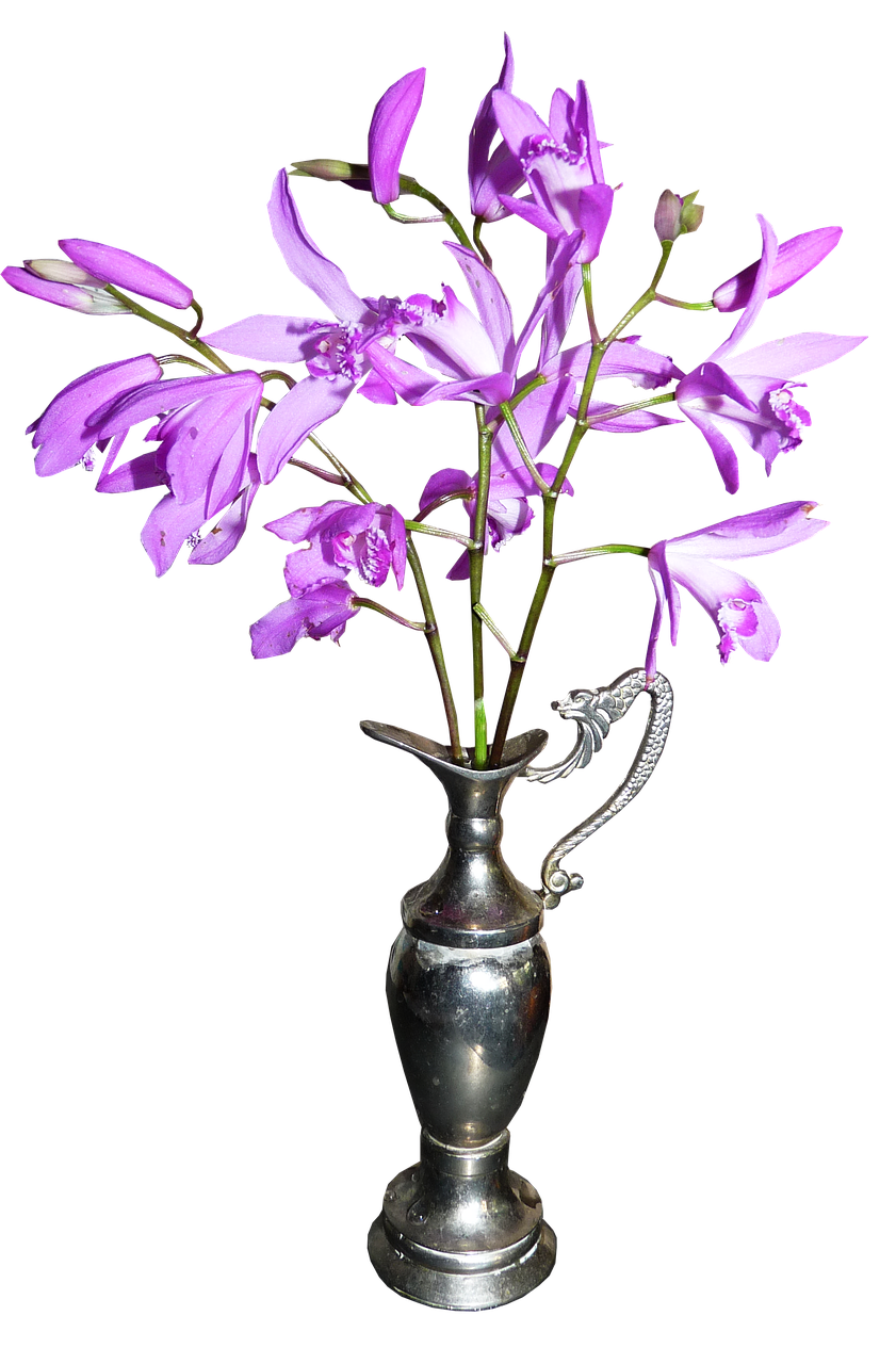 Kiniški Orchidėjai, Vazos, Pavasaris, Nemokamos Nuotraukos,  Nemokama Licenzija