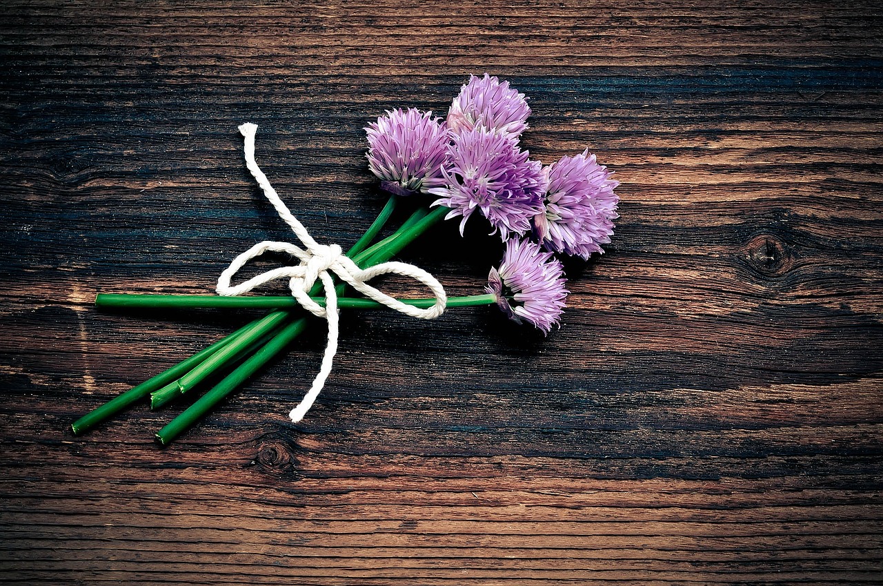 Žirniai, Žiedas, Žydėti, Federalinė Valdžia, Gėlių Žiedai, Violetinė, Mediena, Susijęs, Uždaryti, Nemokamos Nuotraukos