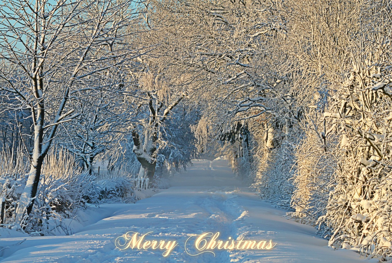 Kalėdos, Kalėdinis Atvirukas, Kalėdų Sveikinimas, Žiema, Žiemą, Sniegas, Sniego Kraštovaizdis, Snieguotas, Sniego Takas, Sniego Pieva