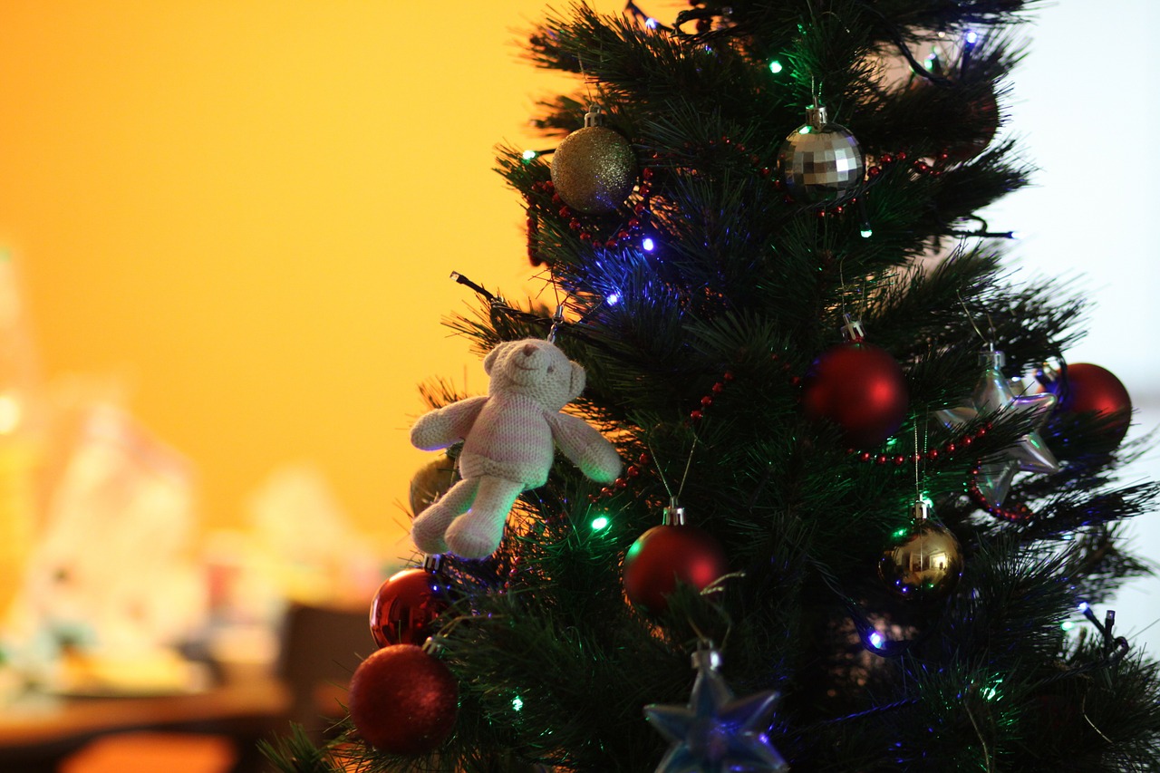 Kalėdos, Medis, Turėti, Nemokamos Nuotraukos,  Nemokama Licenzija