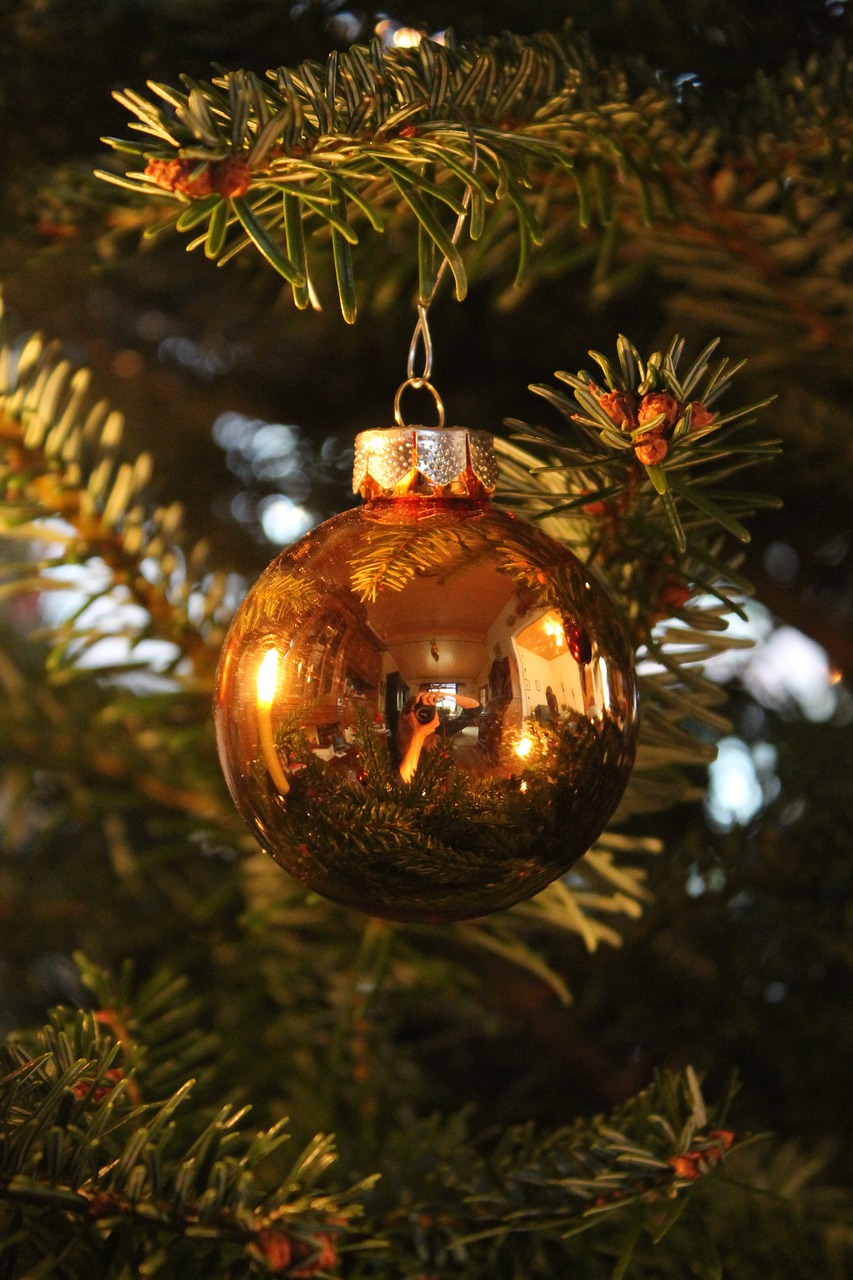 Kalėdos, Kalėdinis Ornamentas, Kalėdų Papuošalas, Apdaila, Kalėdų Papuošalai, Weihnachtsbaumschmuck, Kalėdų Laikas, Medžio Dekoracijos, Kalėdiniai Dekoracijos, Nuotaika