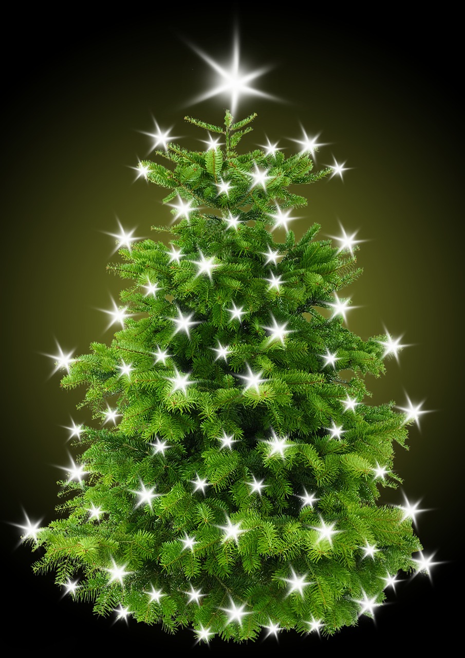 Kalėdos, Kalėdų Eglutė, Medis, Žvaigždė, Apšvietimas, Šviesa, Lichterkette, Kalėdų Motyvas, Kalėdų Puošimas, Kūčios